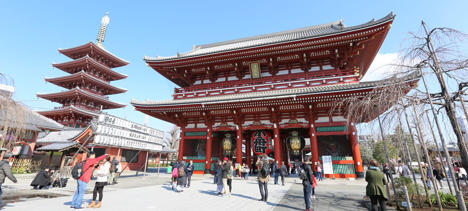 Tokyo: Private City Highlights Tour with Local Guide - Meiji Jingu Shrine: The Forest Pause Between Shibuya and Shinjuku