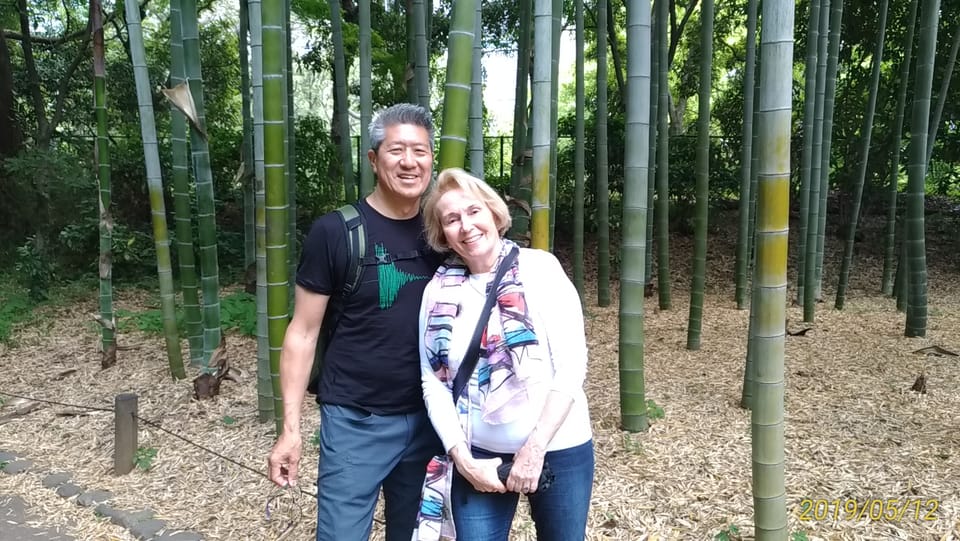 Tokyo: Private City Highlights Tour with Local Guide - Shinjuku Gyoen National Garden: A Park You Can Actually Plan Around