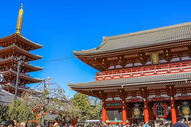 Tokyo Private Day Trip - Enjoy Your First-Time Visit to Tokyo! - Stop 3: Tsukiji Fish Market’s history, food energy, and the real shopping plan
