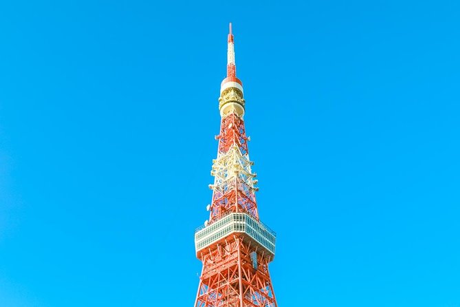 Tokyo Private Day Trip - Enjoy Your First-Time Visit to Tokyo! - Customizable option: good planning turns this into your day