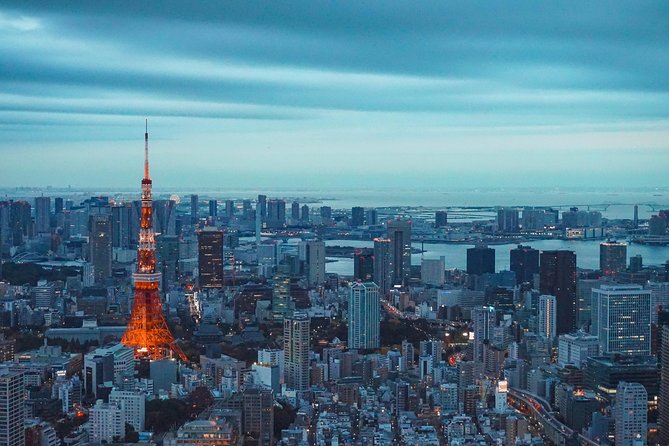 Tokyo Private Full-Day Tour by Car or Van - What This Tour Is Best For
