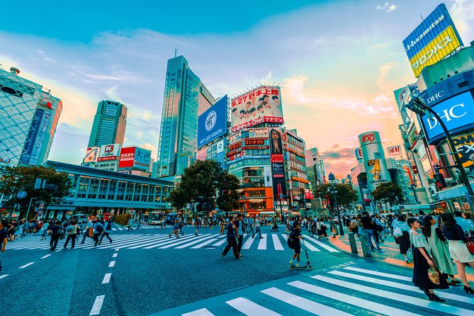 Tokyo Private Full-Day Tour by Car or Van - Rain, Traffic, and the Real World