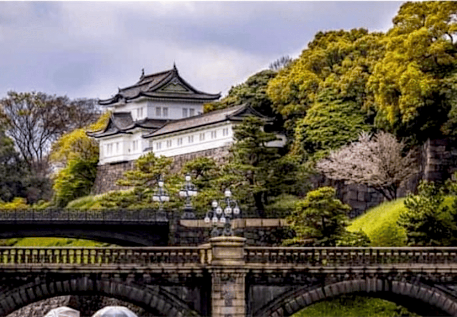 Tokyo: Private Guided Tour with Hotel Pickup and Drop-off - Key reasons this tour works