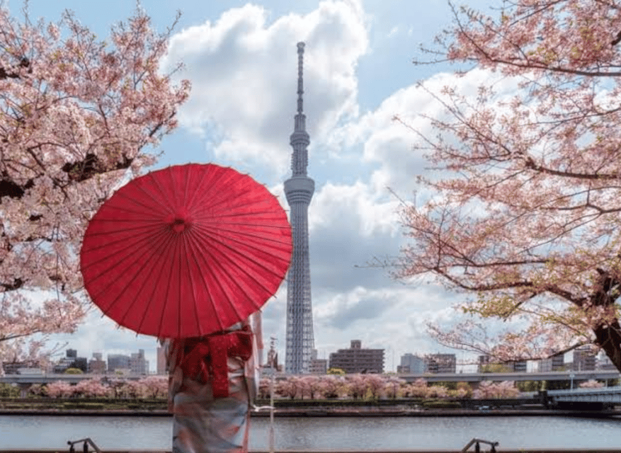 Tokyo: Private Guided Tour with Hotel Pickup and Drop-off - Senso‑ji Temple and Asakusa: the cultural reset button