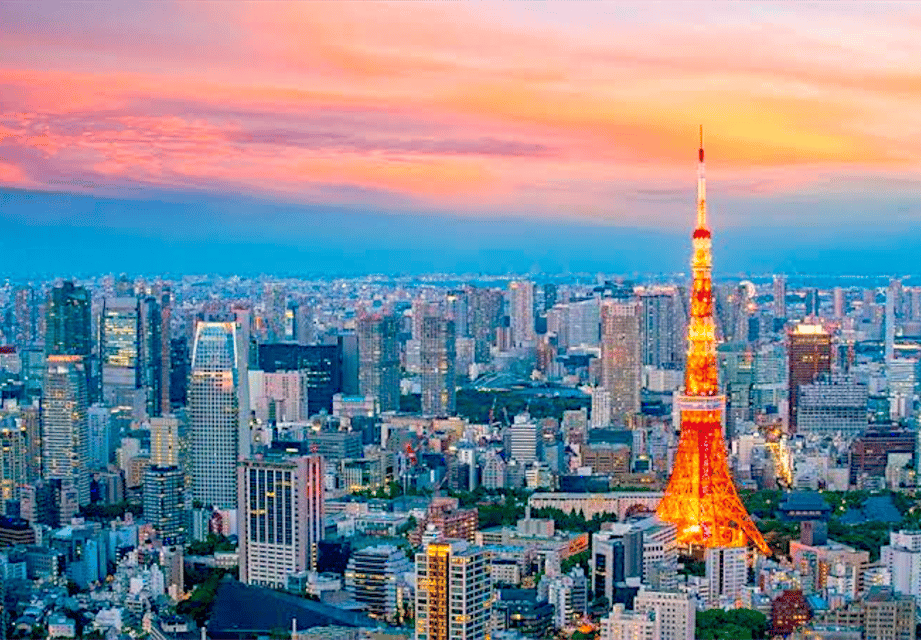 Tokyo: Private Guided Tour with Hotel Pickup and Drop-off - Tokyo Skytree: viewpoint time, and the line reality check