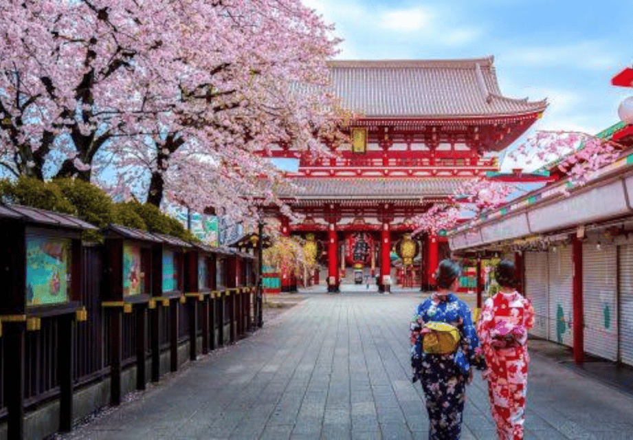 Tokyo: Private Guided Tour with Hotel Pickup and Drop-off - Meiji Shrine: when you want quiet inside the city