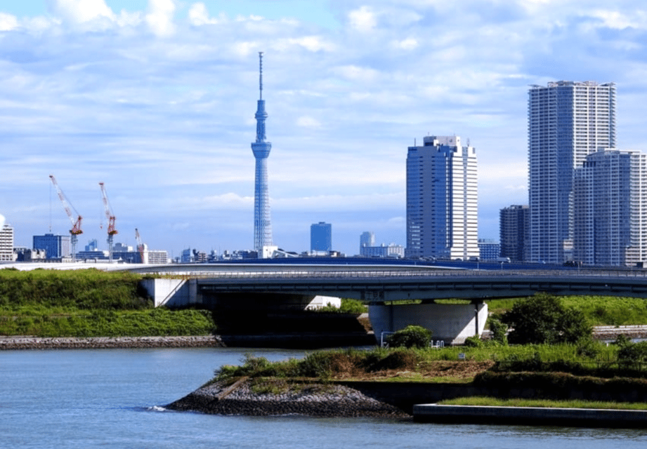 Tokyo: Private Guided Tour with Hotel Pickup and Drop-off - Imperial Palace: gardens, photo stops, and how to enjoy it
