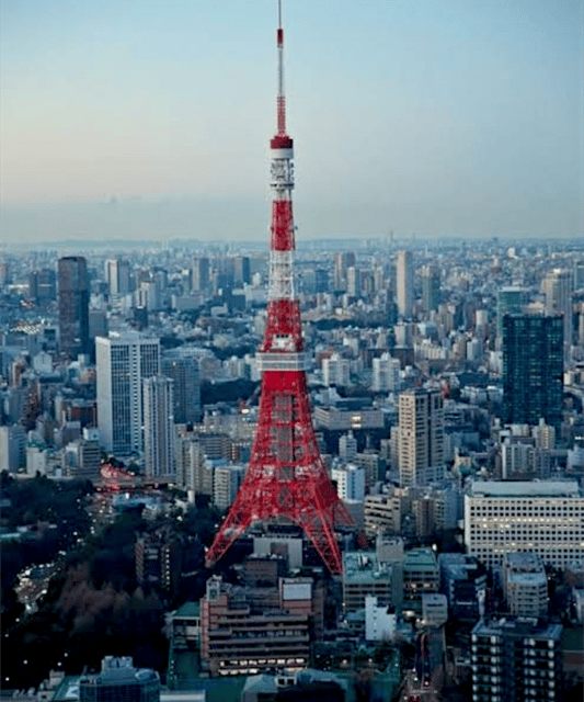 Tokyo: Private Guided Tour with Hotel Pickup and Drop-off - Odaiba: modern Tokyo and a change of scenery