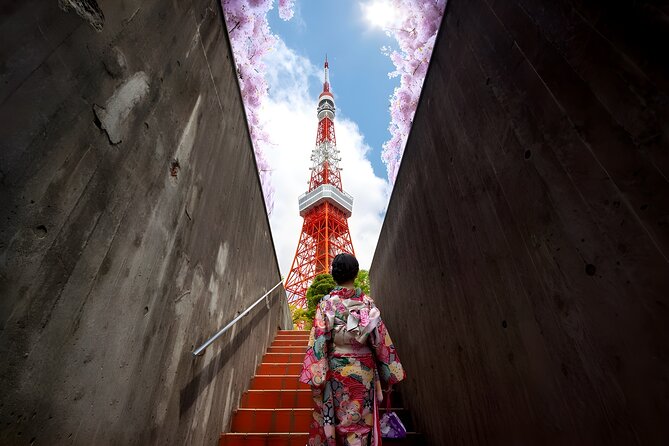Tokyo Private Sightseeing Tour by Car and English Speaking Driver - Meeting your English-speaking chauffeur and staying in control