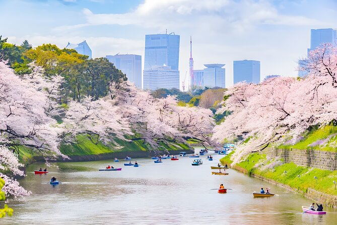 Tokyo Private Sightseeing Tour by Car and English Speaking Driver - Stop-by-stop: what you’ll actually do at each location
