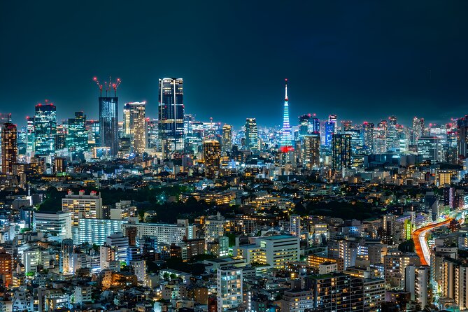 Tokyo Private Sightseeing Tour by Car and English Speaking Driver - Crowds, walking, and how to keep the day from feeling rushed