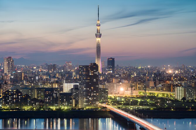 Tokyo Private Sightseeing Tour by Car and English Speaking Driver - What’s included (and what isn’t): plan your add-on costs early