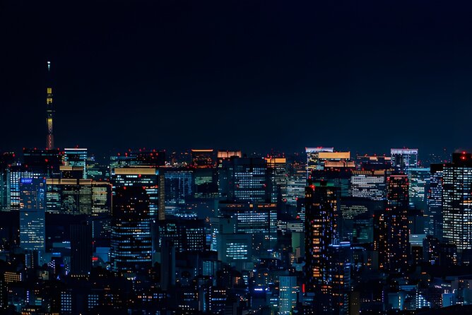 Tokyo Private Sightseeing Tour by Car and English Speaking Driver - Should you book this Tokyo private sightseeing tour?