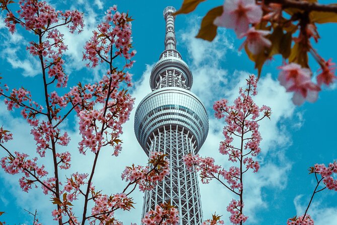 Tokyo Private Sightseeing Tour by Car- English speaking chauffeur - Ginza, Takeshita Street, and Omotesando: Shopping Stops That Actually Fit