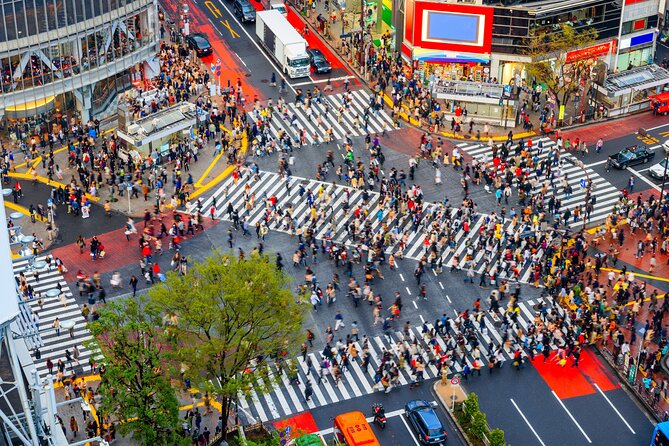 Tokyo Private Sightseeing Tour by Car- English speaking chauffeur - Odaiba: Tokyo Bay Views Without the Wrong Turn