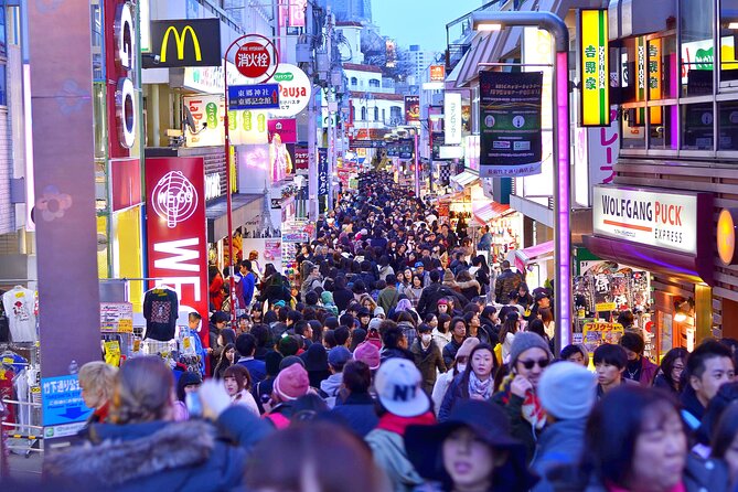 Tokyo Private Sightseeing Tour by Car- English speaking chauffeur - Shibuya Crossing and the Surrounding Chaos: The World’s Most Famous Intersection