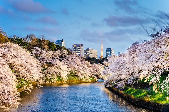 Tokyo Private Tour by Vehicle with English-Speaking Chauffeur - Why this private chauffeur setup works in Tokyo