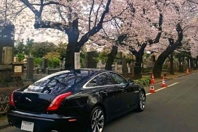 Tokyo Private Tour by Vehicle with English-Speaking Chauffeur - The day’s rhythm: temples, towers, markets, shrines, and Shibuya