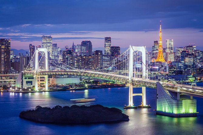 Tokyo Private Tour by Vehicle with English-Speaking Chauffeur - Tsukiji Outer Market: fish-market energy and snack logic