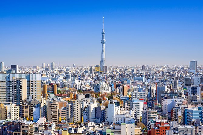 Tokyo Private Tour by Vehicle with English-Speaking Chauffeur - Meiji Jingu Shrine: forest calm and modern Japan’s origin story