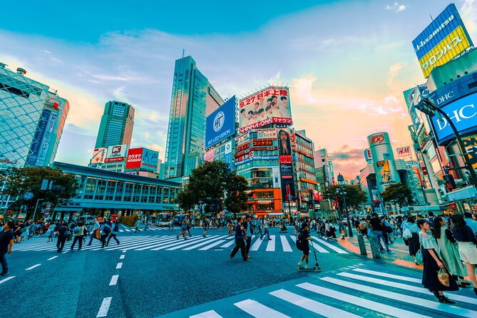 Tokyo: Private Walking Tour with a Local - What 100% private walking really changes in Tokyo