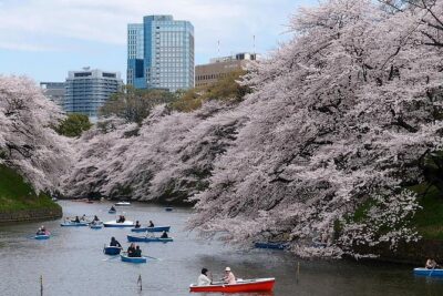 Tokyo: Private Walking Tour with a Local - Meet your Lokafyer: pickup, languages, and a plan you control