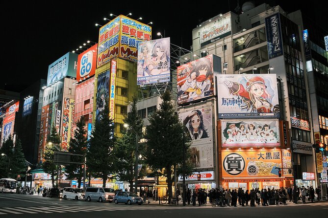 Tokyo: Private Walking Tour with a Local Guide - Akihabara: tech culture with a human explanation