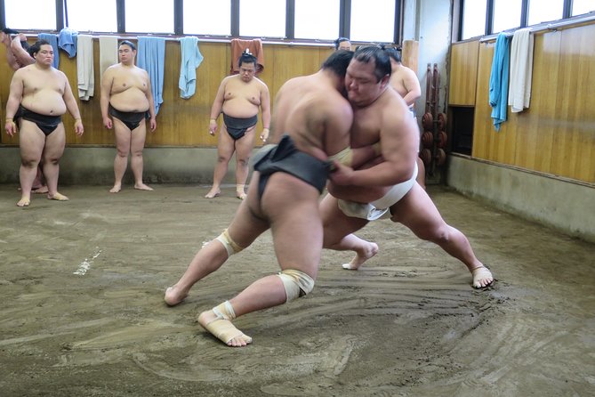 Tokyo Ryogoku Sumo Morning Practice + Photo Shoot with Wrestlers - Key things I’d circle before you go