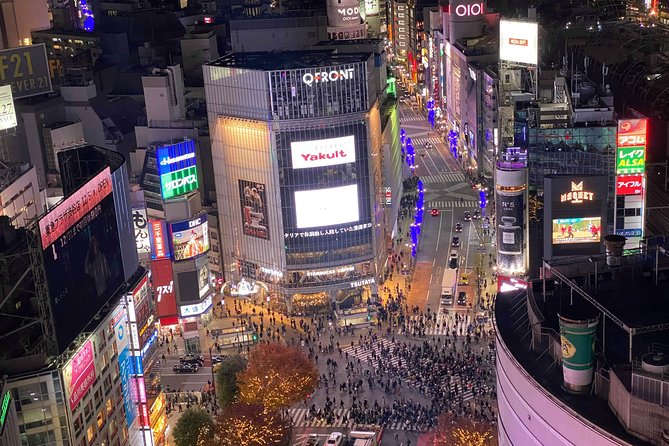 Tokyo: Shibuya Highlights Walking Tour - Higher Views of Shibuya: See the Pattern, Not Just the Signs