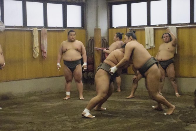 Tokyo Sumo Morning Practice Tour at Stable - The tournament calendar lesson you’ll use later