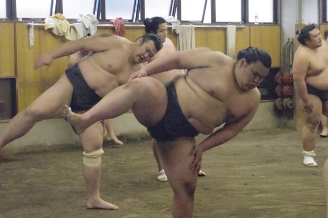 Tokyo Sumo Morning Practice Tour at Stable - Headsets, commentary, and the “follow along” problem