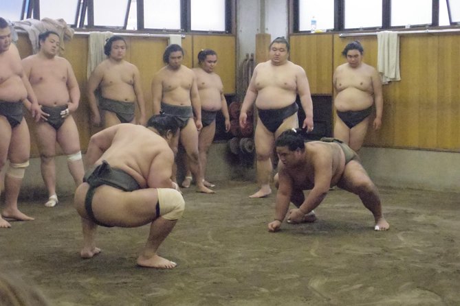 Tokyo Sumo Morning Practice Tour at Stable - Etiquette checklist: how to avoid the common mistakes