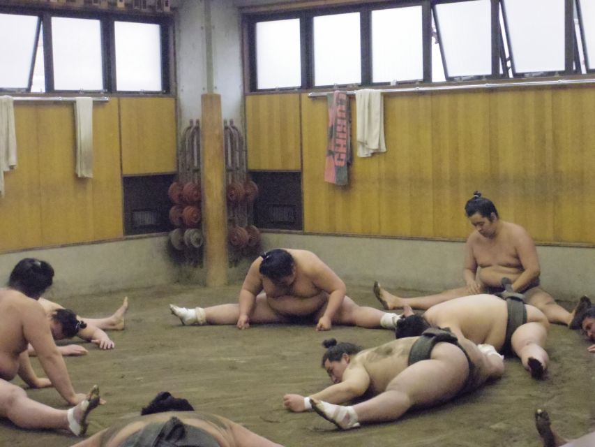 Tokyo: Sumo Morning Practice Viewing Tour - Key things you’ll notice on this sumo morning