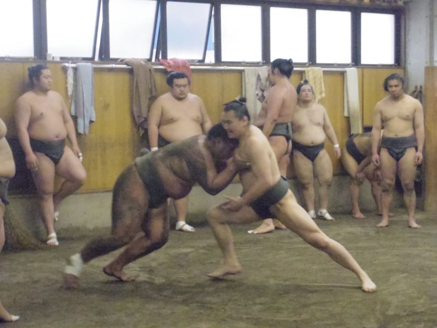 Tokyo: Sumo Morning Practice Viewing Tour - Watching morning training: what you’ll actually see