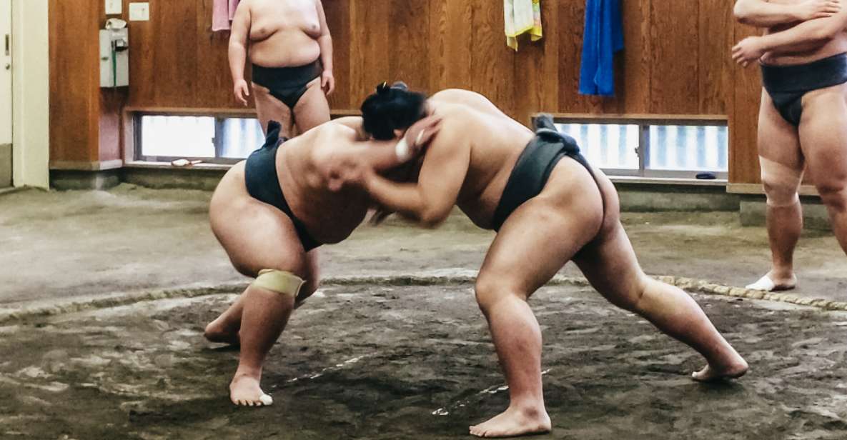 Tokyo: Sumo Morning Training Visit - Key takeaways before you go
