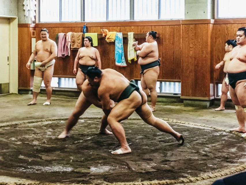 Tokyo: Sumo Morning Training Visit - Floor seating: your back will file a complaint