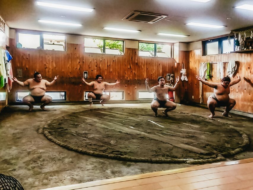 Tokyo: Sumo Morning Training Visit - Price and value: is $77 a good use of your time?