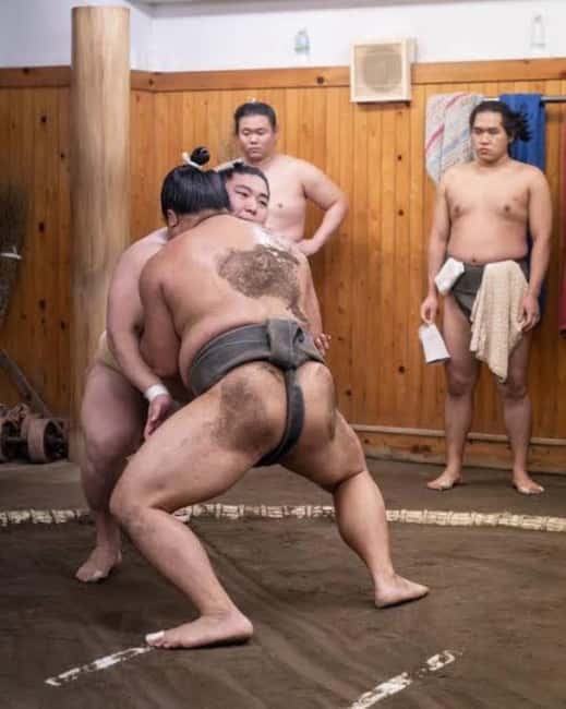 Tokyo: Sumo Show and Experience in Shinjuku - Key points to know before you go