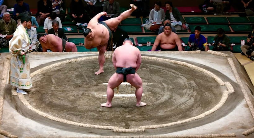 Tokyo: Sumo Tournament with Guide & Assigned Reserved Seat - Who this is best for (and who should skip it)