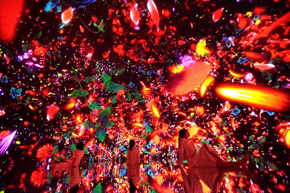 Tokyo: teamLab Planets TOKYO Digital Art Museum Entry Ticket - How the Art Works: You Are Part of the Installation