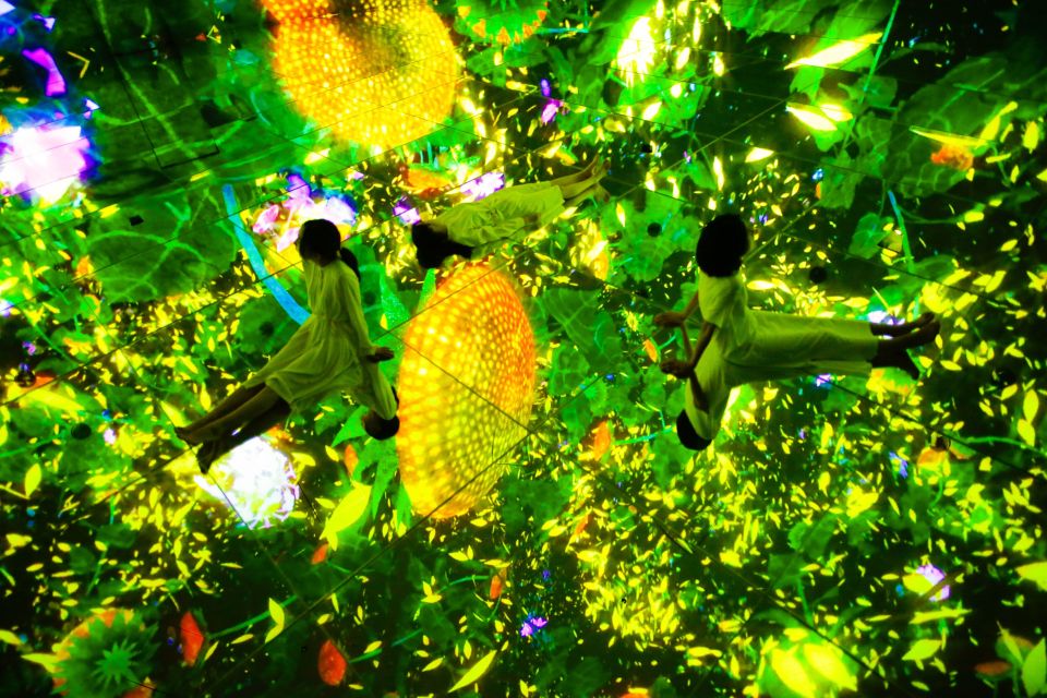 Tokyo: teamLab Planets TOKYO Digital Art Museum Entry Ticket - What You’ll See in the Dry Areas: Light, Sound, and Mirror Magic
