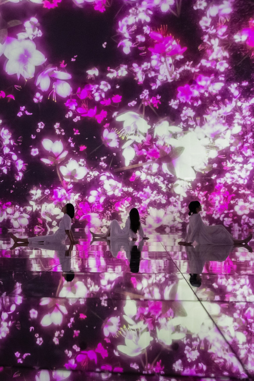 Tokyo: teamLab Planets TOKYO Digital Art Museum Entry Ticket - The Forest and Flower Worlds: Falling Petals and Garden-Scale Wonder