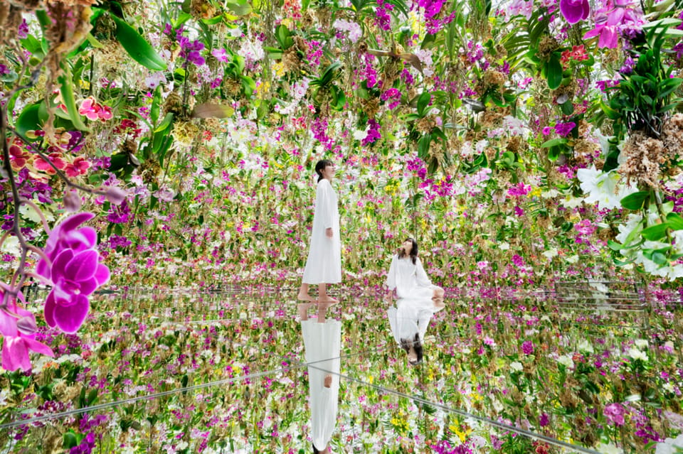 Tokyo: teamLab Planets TOKYO Digital Art Museum Entry Ticket - Timing and Entry: The 30-Minute Rule That Matters