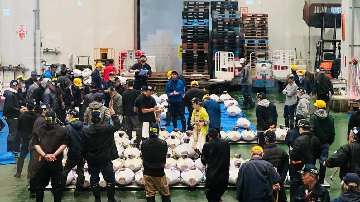 Tokyo: Toyosu Tuna Auction &Tsukiji Market Gourmet Adventure - Practical Stuff That Makes the Morning Work (or Doesn’t)