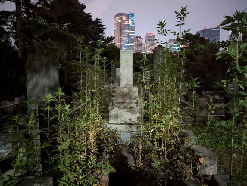 Tokyo: True Crime And Ghost Stories Tour - Pace, comfort, and what to bring