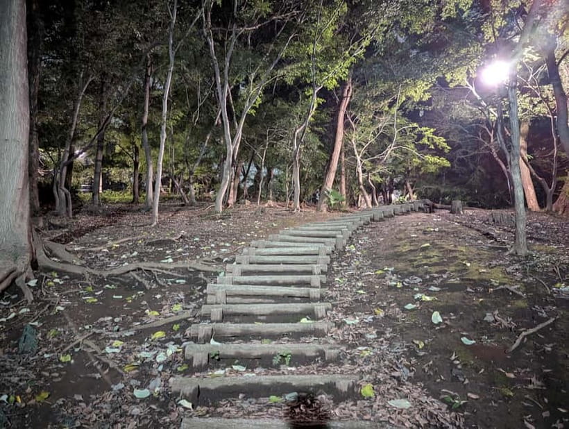 Tokyo: True Crime And Ghost Stories Tour - Should you book this Tokyo true crime and ghost stories tour?