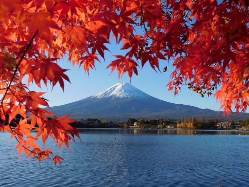 Tokyo:Mt.Fuji,Kawaguchiko Oishi Park,Arakurayama Sengen Park - Lake Kawaguchi reflections: where Fuji often appears