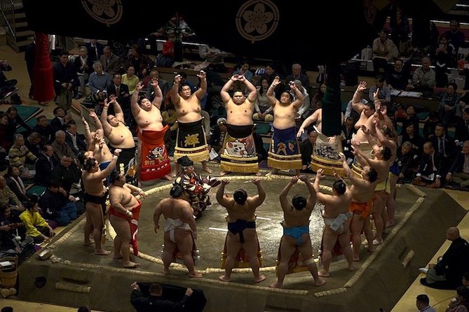 Ultimate Sumo Tournament: Tokyo, Osaka, Nagoya, Fukuoka - Seats, Sightlines, and Standard vs Private Options