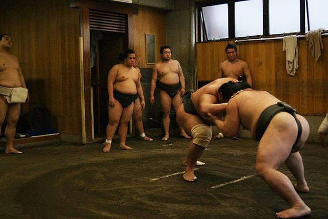 Watch Sumo Morning Practice at Stable in Tokyo - Why a sumo stable morning feels different in Tokyo