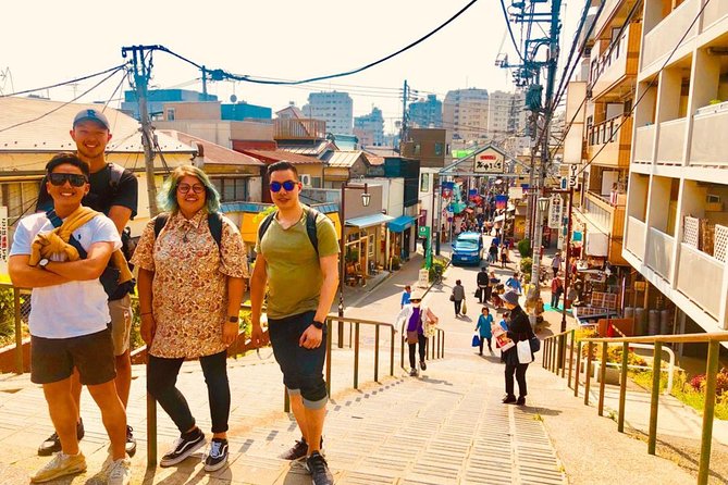 Yanaka Historical Walking Tour in Tokyo's Old Town - Nezu Museum: a pass-by that sets context